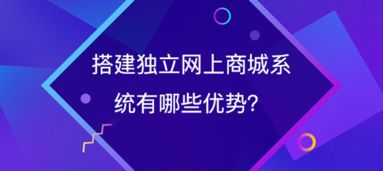 企業(yè)搭建獨(dú)立網(wǎng)上商城系統(tǒng)有哪些優(yōu)勢