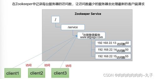 大數(shù)據(jù)應(yīng)用 學(xué)習(xí)zookeeper