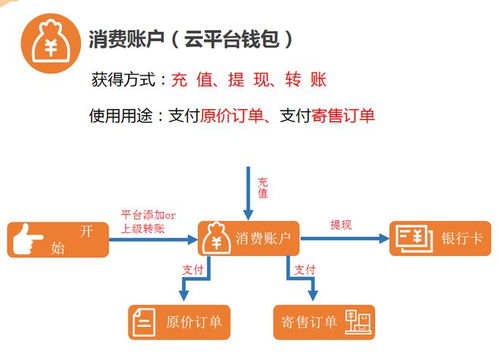 全民秒購模式的運用與商業(yè)邏輯,你知道嗎